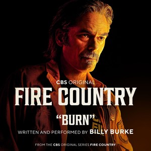 Burn (Music from the CBS Original Series)