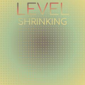 Level Shrinking