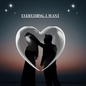 Everything I Want (Explicit)
