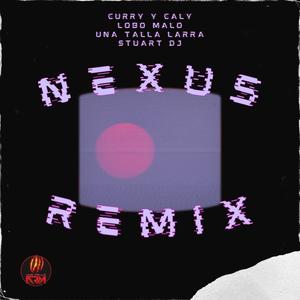 Nexus (feat. Curry y Caly & Lobo Malo) [Remix] [Explicit]