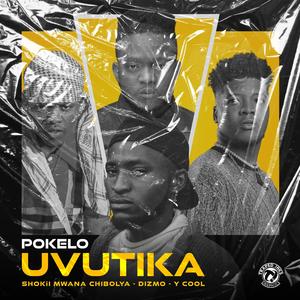 UVUTIKA (feat. Dizmo, Shokii & Y-Cool) (Explicit)