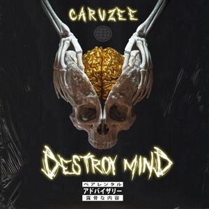 Destroy Mind (Explicit)