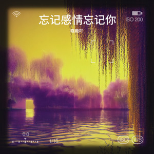 忘记感情忘记你