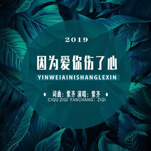 因为爱你伤了我 (DJ版伴奏)