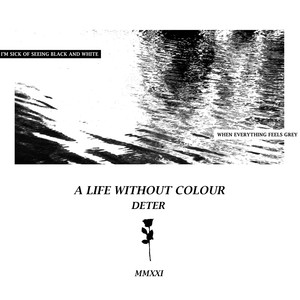 A Life Without Colour (Instrumental)