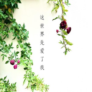 这世界先爱了我
