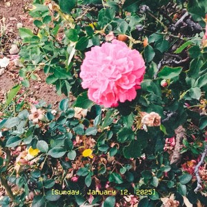 Un Sueño (Explicit)