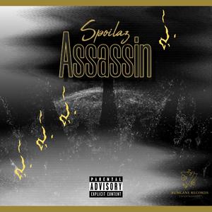 Assassin (Explicit)