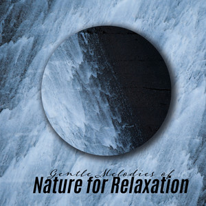 Gentle Melodies of Nature for Relaxation