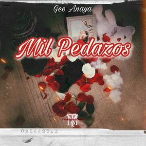 Mil Pedazos