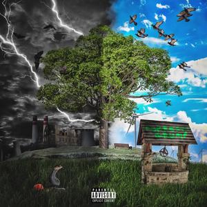Withdrawals (Explicit)