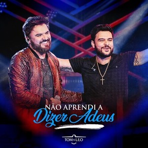 Não Aprendi A Dizer Adeus (Ao Vivo)