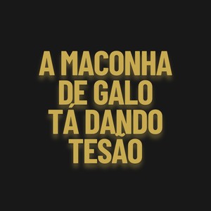 A Maconha de Galo Tá Dando Tesão (Explicit)
