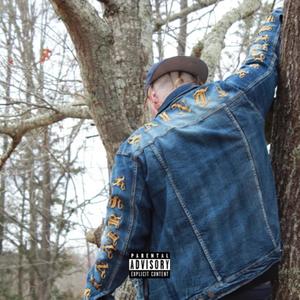 heart stop (feat. BDV) (Explicit)