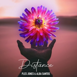 Distance (Inst.)