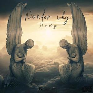 Wonder Why (Explicit)