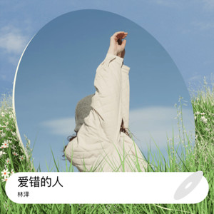 林泽 - 爱错的人