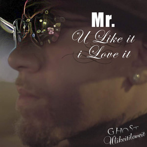 Mr. U Like It I Love It (Explicit)