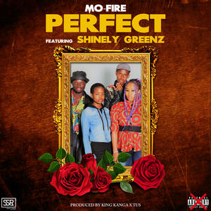 Perfect (feat. MO-FIRE)