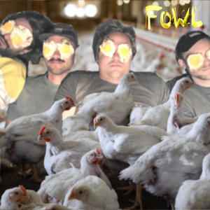 FLOCKING ARRANGEMENTS