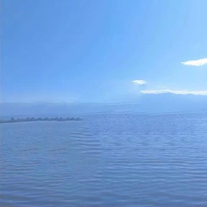 世界上没有真正的感同身受