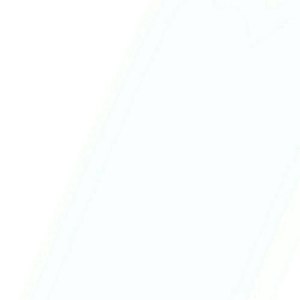 不再让你孤单 Cove