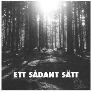 Ett Sådant Sätt