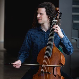 Stickerbush Symphony (Viola da Gamba Acoustic Cover)