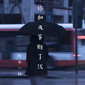 你如风筝断了线 (伴奏)