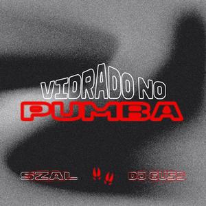 Vidrado no Pumba (feat. DJ Guss)