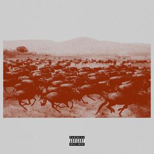 Stampede (feat. Chris McLaughlin) (Explicit)