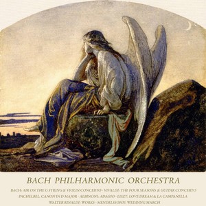 Concerto for Guitar and Strings in D Major, Rv 93 - II. Largo