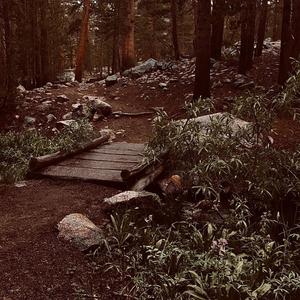 Late Nights (feat. John’s Corpse & J3RR7) (Explicit)