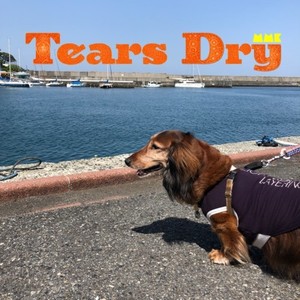 Tears Dry