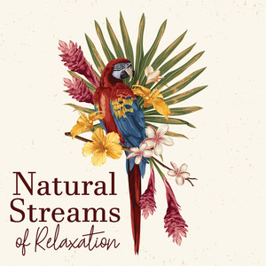 Natural Streams of Relaxation - Ambient Nature Sounds Collection, Bird Calls, Water & Rain, Body, Mind & Soul, Clear Your Mind, Total Comfort, Deep Rest