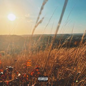 County Lines (feat. County Boi, YoungSolidTae & FYG NevaSweet) (Explicit)