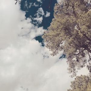 black mesa (Explicit)