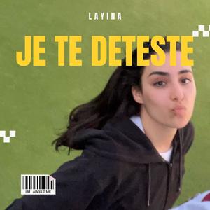 Je Te Deteste