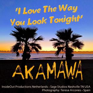 I Love The Way You Look Tonight