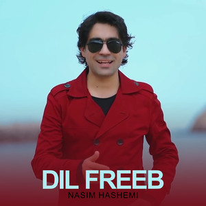 Dil Freeb