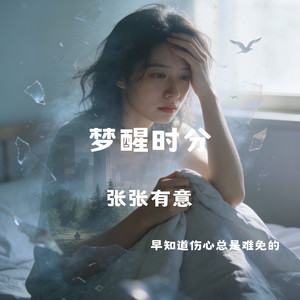 梦醒时分（早知道伤心总是难免的）