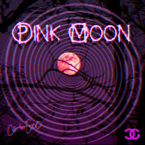 Pink Moon (Explicit)