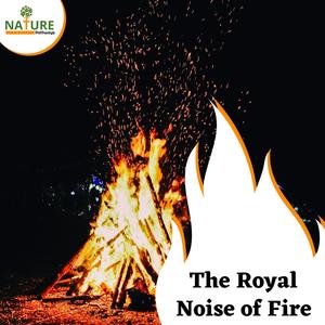 The Royal Noise of Fire