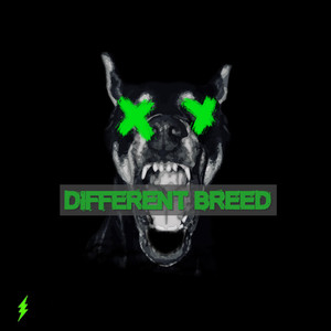 Different Breed (Freestyle) [Explicit]