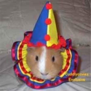 russian roulette 2026