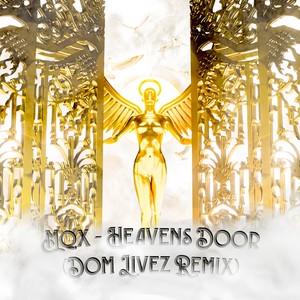 Heaven's Door (Dom Livez Remix|Radio Edit)