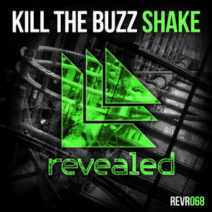 Shake (Original Mix)