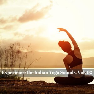 Experience the Indian Yoga Sounds, Vol. 02