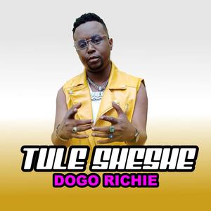 tule sheshe (feat. dogo richie)