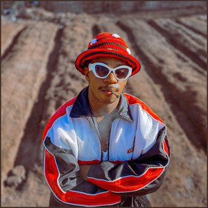 In My Bag (Freestyle) (Explicit)